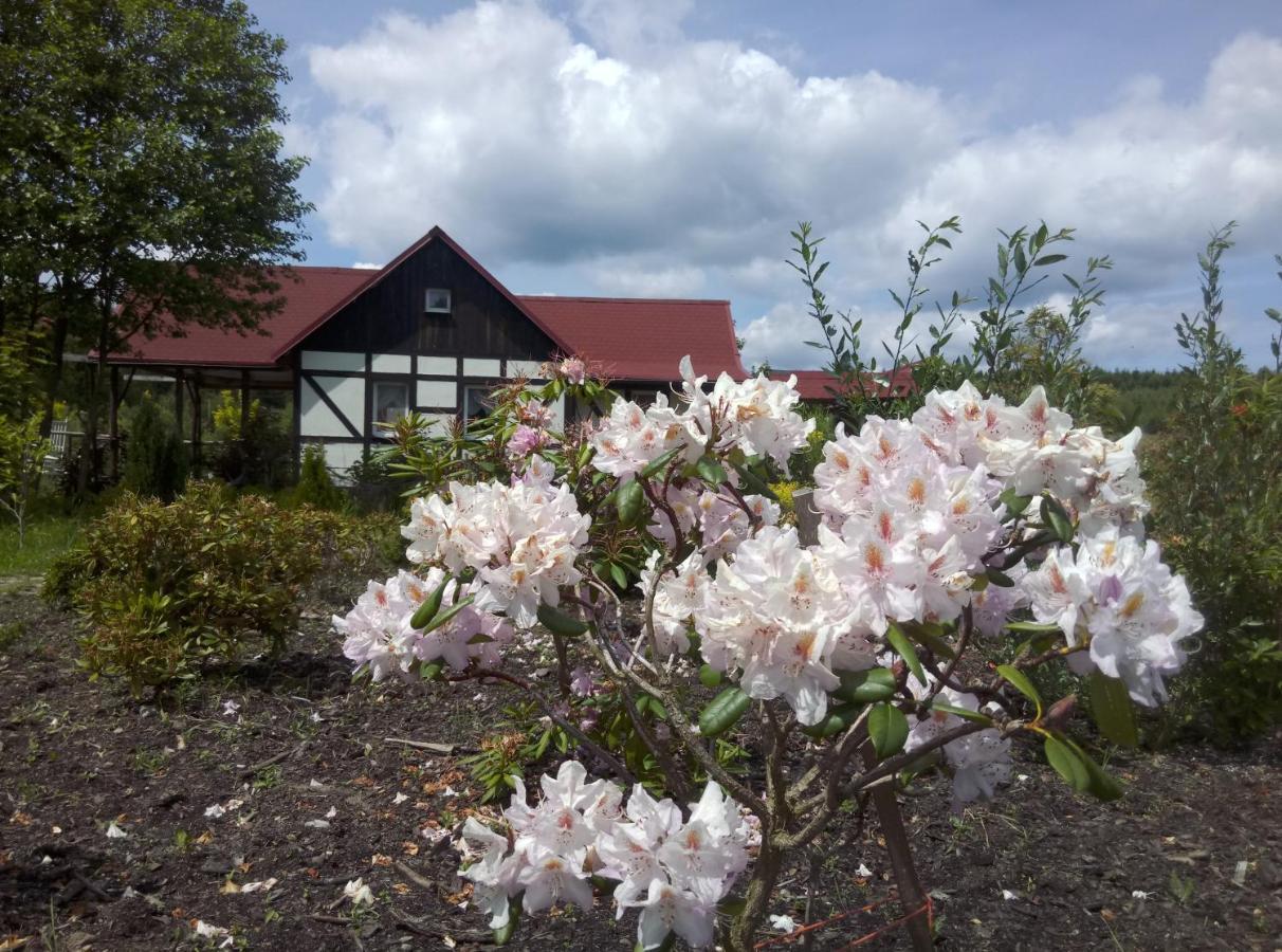 Villa Dom Rybaka Mirosławiec Esterno foto